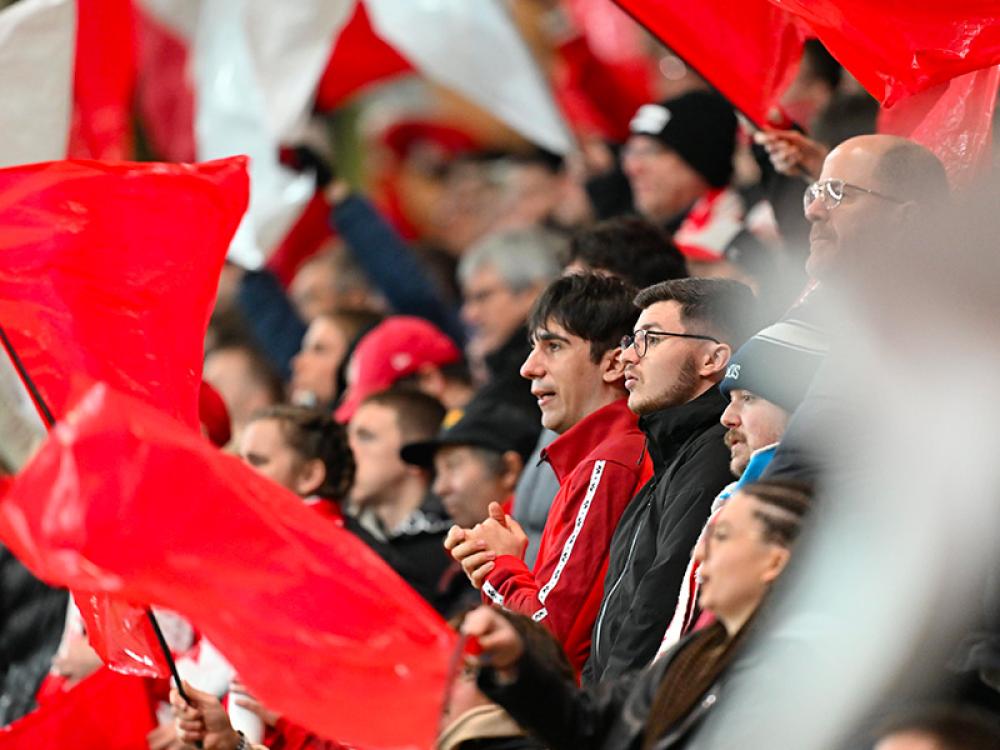 L'oeil du supporter après SDR-RCL ! 